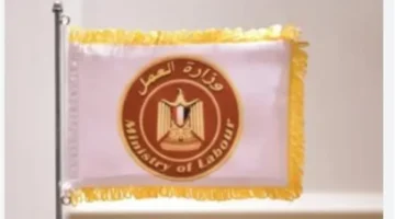 رواتب مجزية وتأمينات.. وزارة العمل تعلن تفصيلات وظائف نشرة التوظيف بنهاية الشهر